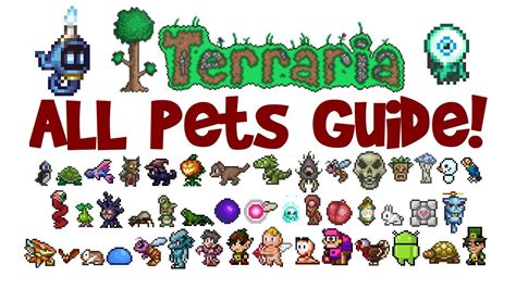 Terraria ALL Pets & Light Pets Guide! All platforms! (1.2.4 AND .